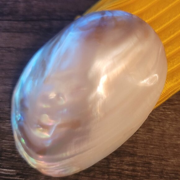 Vintage Charmant Iridescent Shell Buckle and Stretch Belt - Picture 1 of 7